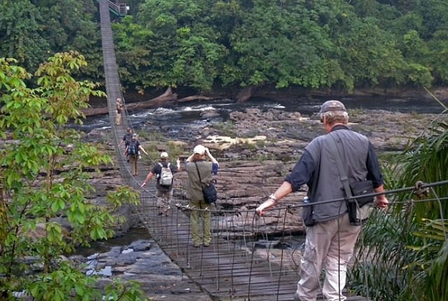 Korup National Park