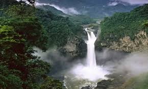 Mount Cameroon National Park